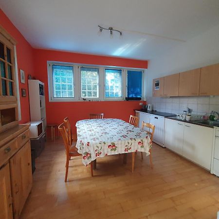 Zentral Gelegene Wohnung Mit Grossem Garten Interlaken Zewnętrze zdjęcie