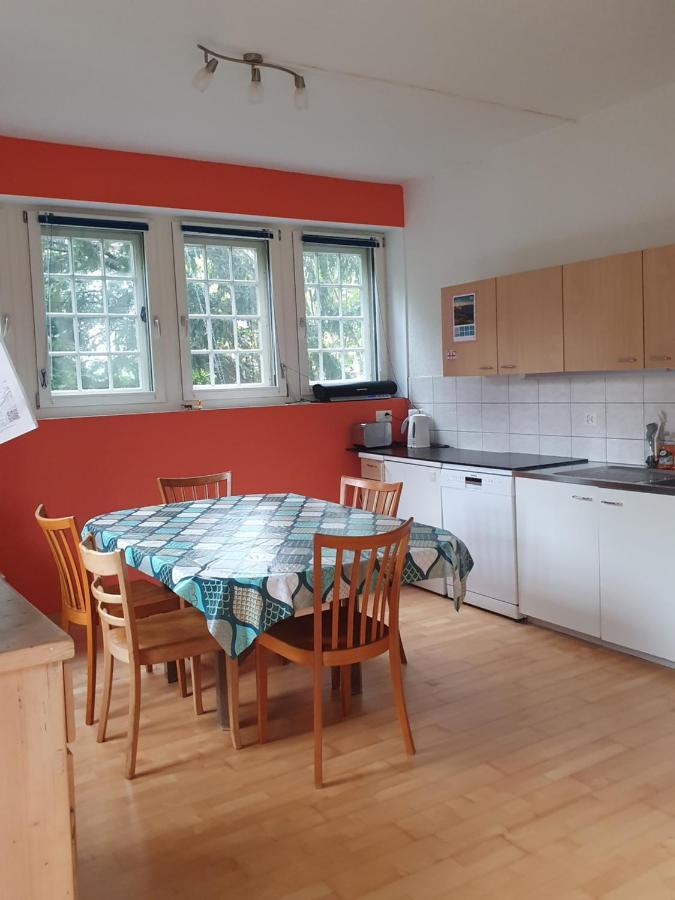 Zentral Gelegene Wohnung Mit Grossem Garten Interlaken Zewnętrze zdjęcie