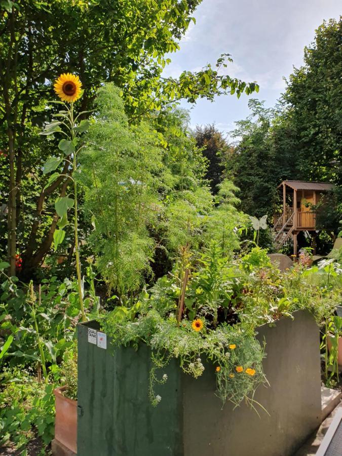 Zentral Gelegene Wohnung Mit Grossem Garten Interlaken Zewnętrze zdjęcie