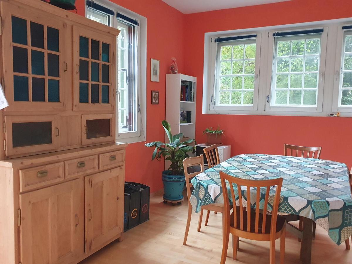 Zentral Gelegene Wohnung Mit Grossem Garten Interlaken Zewnętrze zdjęcie