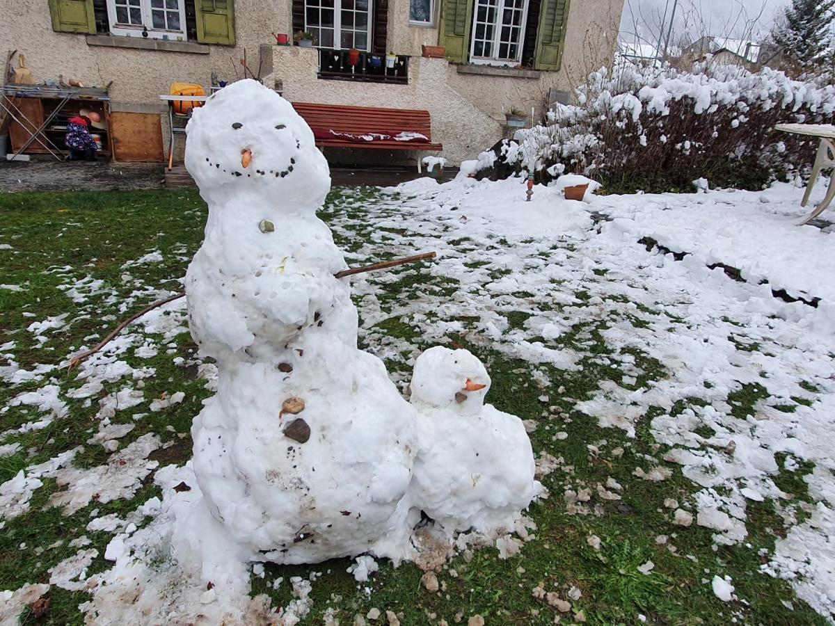 Zentral Gelegene Wohnung Mit Grossem Garten Interlaken Zewnętrze zdjęcie